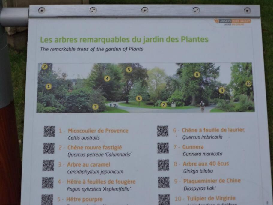 Apartmán Le Grey-Jardin Des Plantes-Centre Des Congres Angers Exteriér fotografie